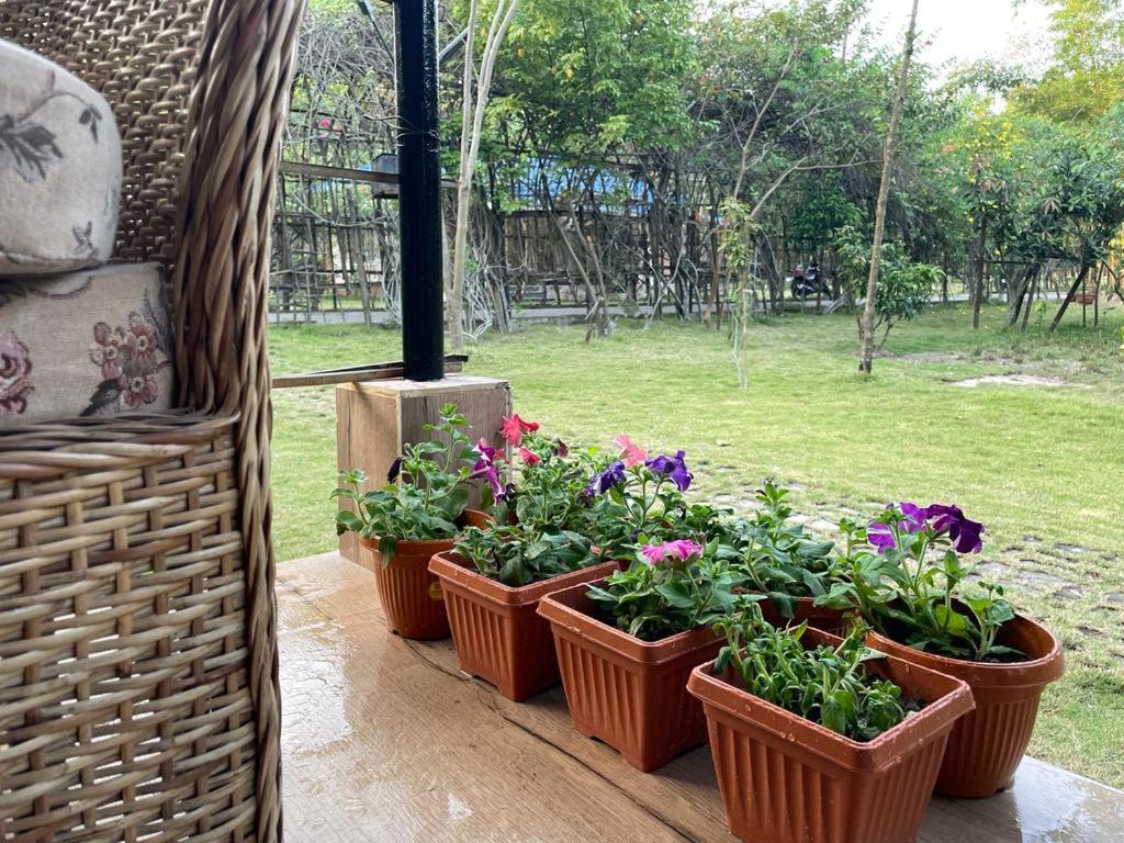Bougainvillea Retreat & Spa Kaharpara Dış mekan fotoğraf
